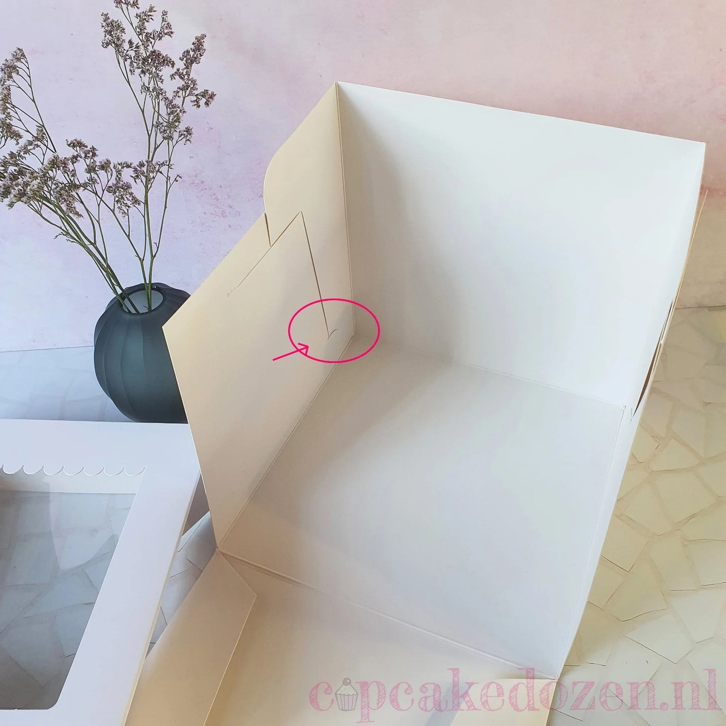 Hoge taartdoos 23x23x23 - luifel (10 st) - Cupcakedozen.nl