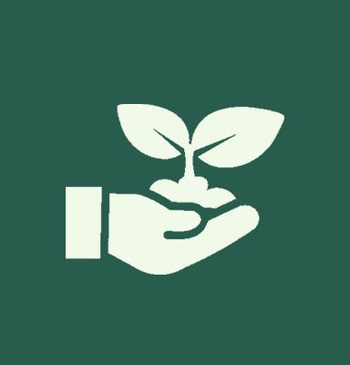 Biobased - Cupcakedozen.nl