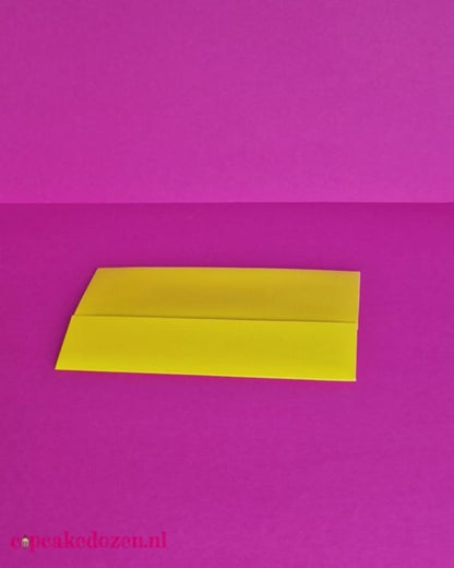 yellow macaron boxes