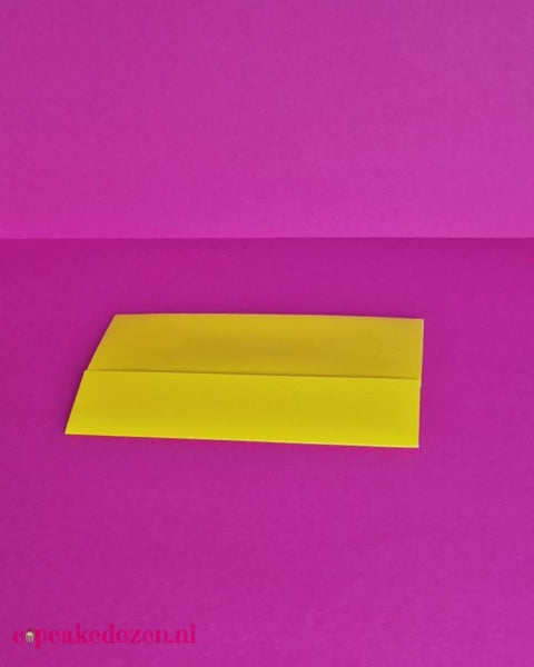 yellow macaron boxes