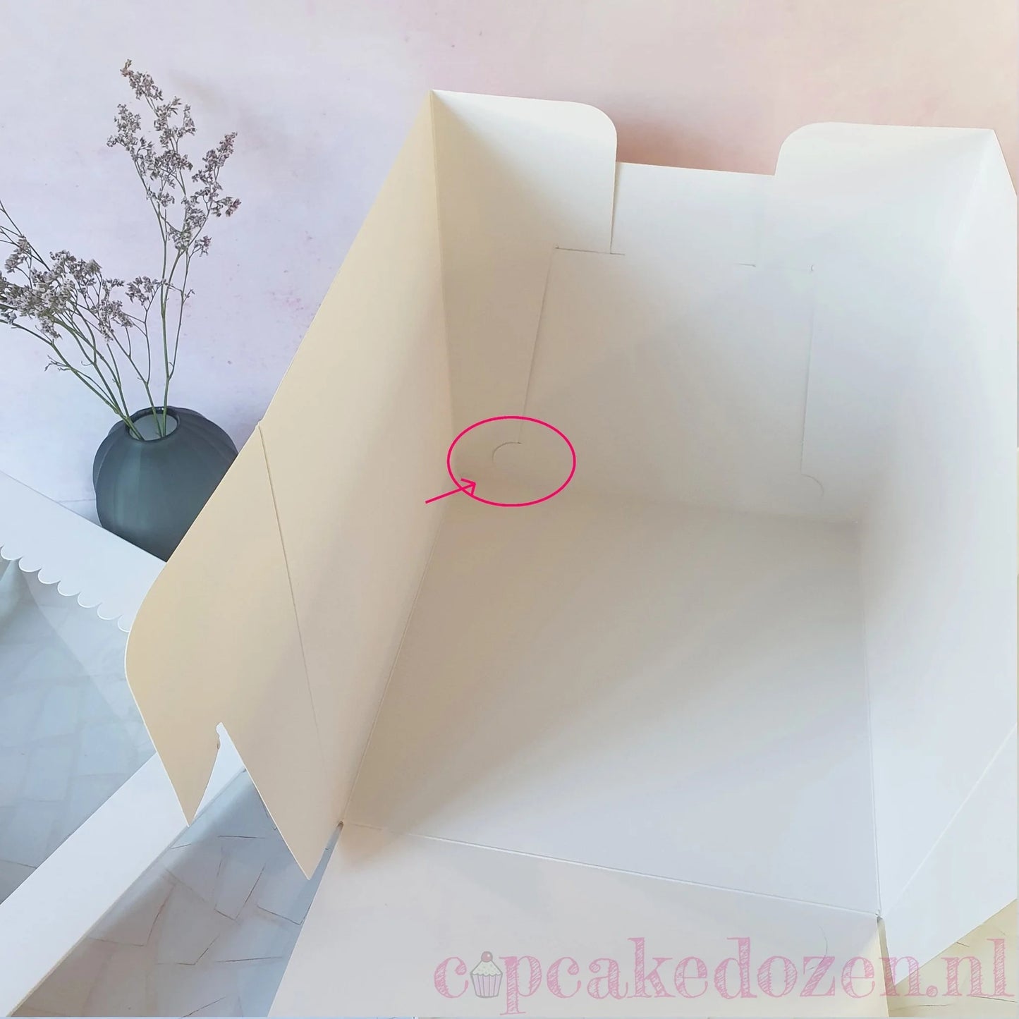 Hoge taartdoos 28x28x28 - luifel (10 st) - Cupcakedozen.nl